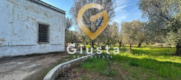 3 rooms House in San Michele Salentino, Italy No. 37530 9