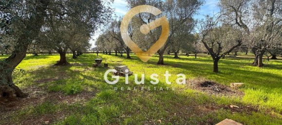 3 rooms House in San Michele Salentino, Italy No. 37530 14