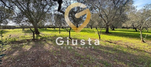 3 rooms House in San Michele Salentino, Italy No. 37530 16