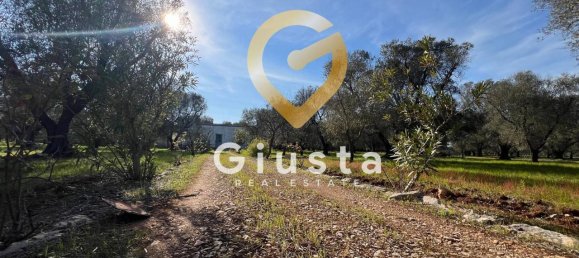 3 rooms House in San Michele Salentino, Italy No. 37530 4