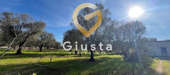 3 rooms House in San Michele Salentino, Italy No. 37530 5