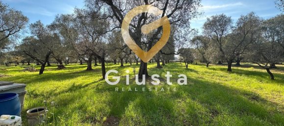 3 rooms House in San Michele Salentino, Italy No. 37530 12