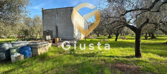 3 rooms House in San Michele Salentino, Italy No. 37530 13