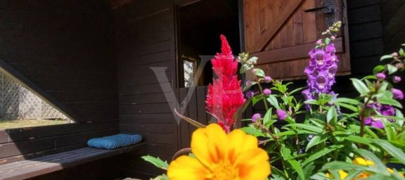 Edificio de 6 dormitorios en Birkenfeld, Germany No. 129178 25