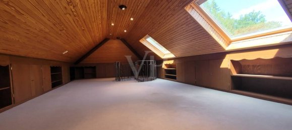 Edificio de 6 dormitorios en Birkenfeld, Germany No. 129178 20