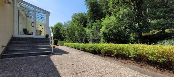 Edificio de 6 dormitorios en Birkenfeld, Germany No. 129178 13