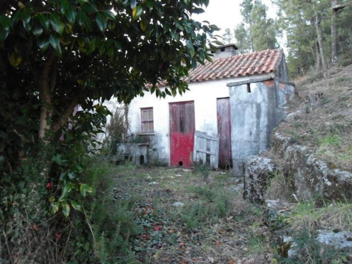 2 bedrooms House in Baiao, Portugal No. 83300