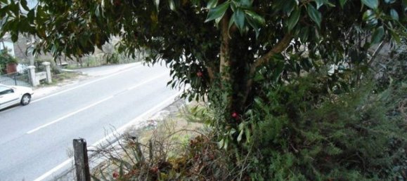 2 bedrooms House in Baiao, Portugal No. 83300 6