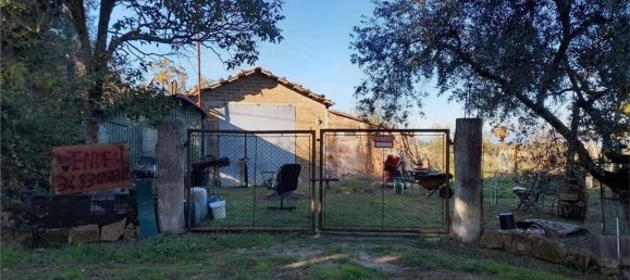 2-Zimmer Haus in Castiglione del Lago, Italy, Nr. 116349 3