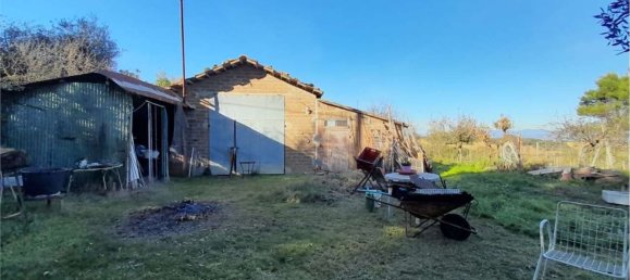 2-Zimmer Haus in Castiglione del Lago, Italy, Nr. 116349 2