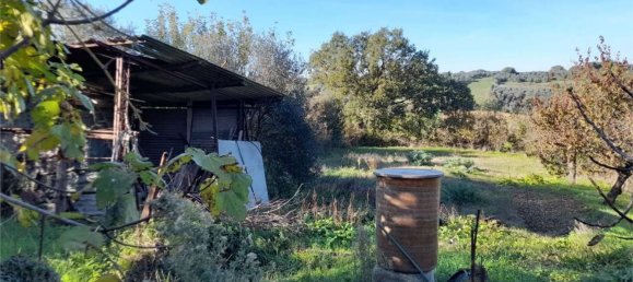 2-Zimmer Haus in Castiglione del Lago, Italy, Nr. 116349 14