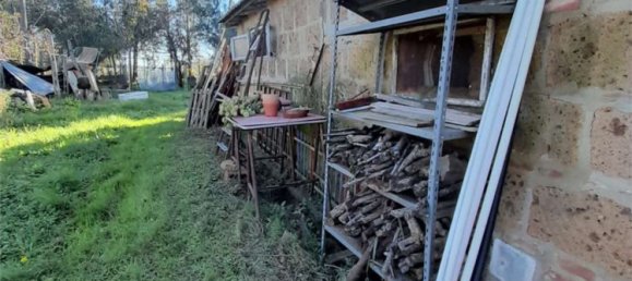 2-Zimmer Haus in Castiglione del Lago, Italy, Nr. 116349 8