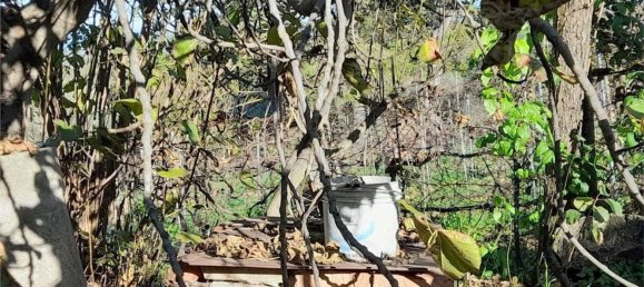 2-Zimmer Haus in Castiglione del Lago, Italy, Nr. 116349 9