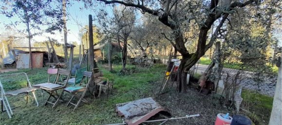 2-Zimmer Haus in Castiglione del Lago, Italy, Nr. 116349 6