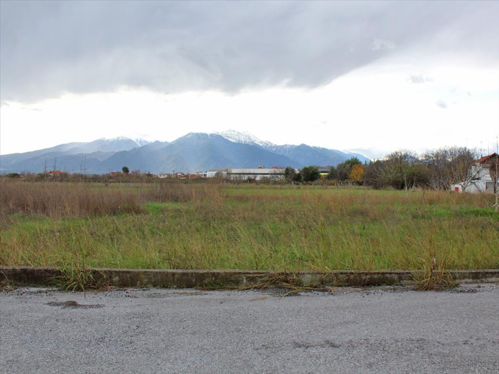 11111m² Hotel in Katerini, Greece No. 4363