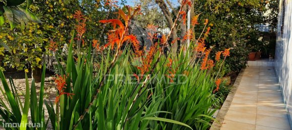 3 bedrooms House in Setubal, Portugal No. 82875 35