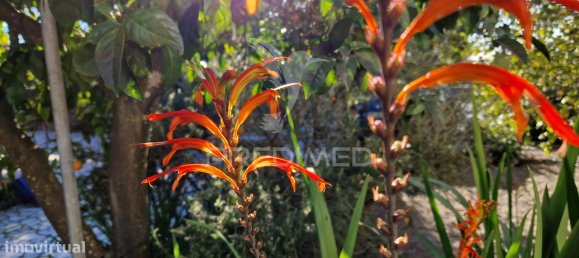 3 bedrooms House in Setubal, Portugal No. 82875 37