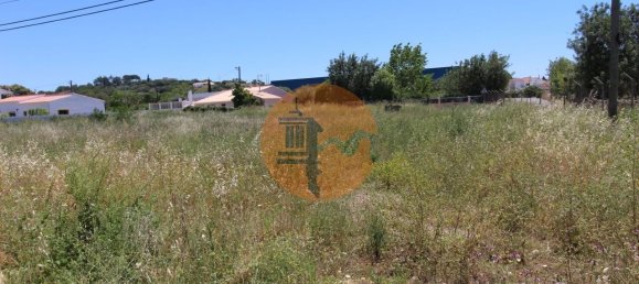 Gewerbliche Immobilie in Sao Bras de Alportel, Portugal 3897m², Nr. 245398 11