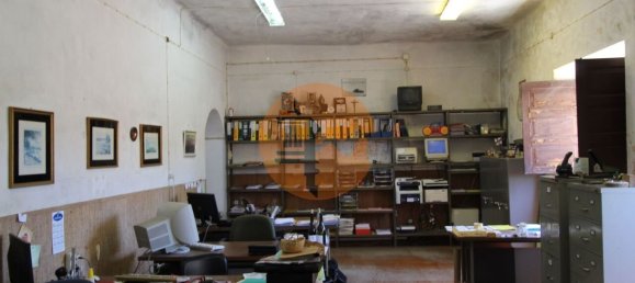 Gewerbliche Immobilie in Sao Bras de Alportel, Portugal 3897m², Nr. 245398 2