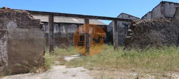 Gewerbliche Immobilie in Sao Bras de Alportel, Portugal 3897m², Nr. 245398 17