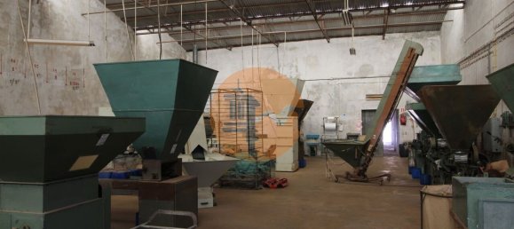 Gewerbliche Immobilie in Sao Bras de Alportel, Portugal 3897m², Nr. 245398 19
