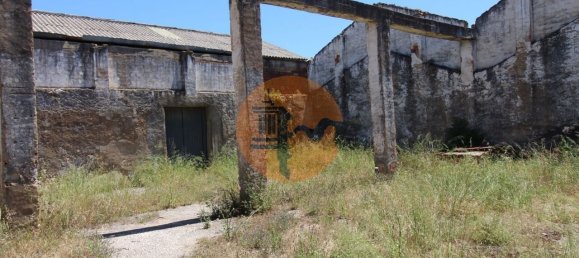 Gewerbliche Immobilie in Sao Bras de Alportel, Portugal 3897m², Nr. 245398 16