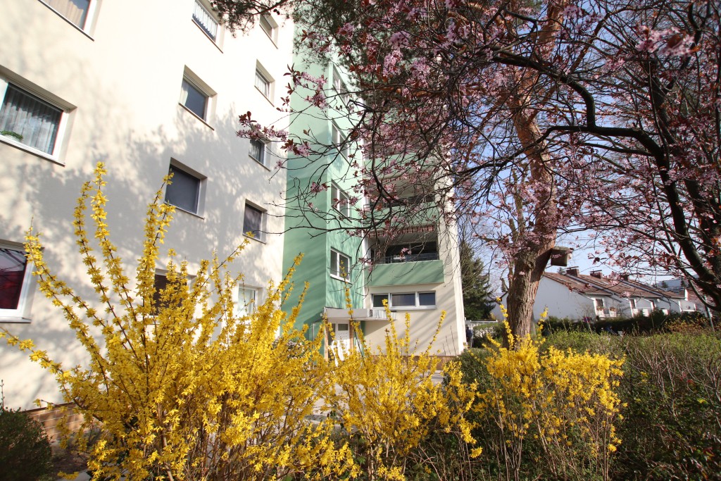 2 bedrooms Apartment in Darmstadt-Dieburg, Germany No. 220531