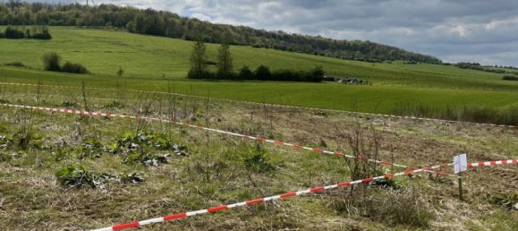 Grundstück in Saint-Pancre, France 599m², Nr. 67571 5