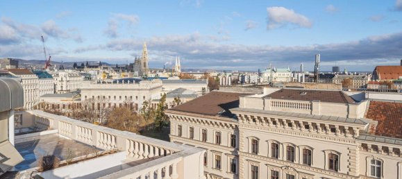 4 Schlafzimmer Penthouse in Wien, Austria, Nr. 72080 18