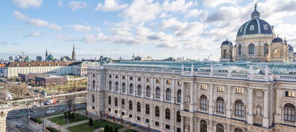 4 Schlafzimmer Penthouse in Wien, Austria, Nr. 72080 9