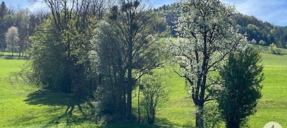 Terreno em Randegg, Austria N.º 162776 4