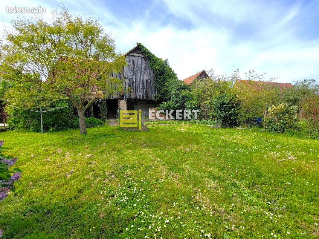 1 غرف نوم منزل في Kirchheim, France رقم 60544