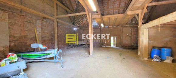 1 غرف نوم منزل في Kirchheim, France رقم 60544 6