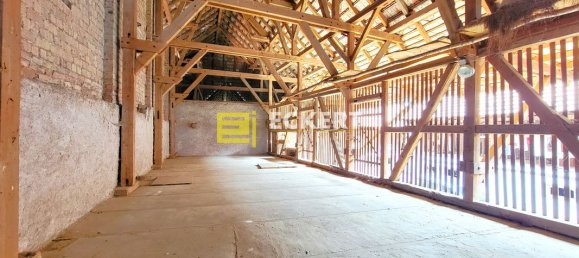 1 غرف نوم منزل في Kirchheim, France رقم 60544 4