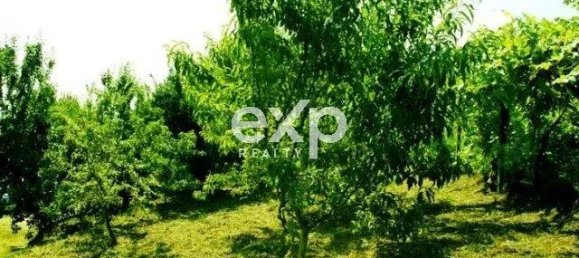 6 bedrooms House in Asti, Italy No. 362951 17