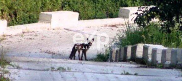 6 bedrooms House in Asti, Italy No. 362951 9