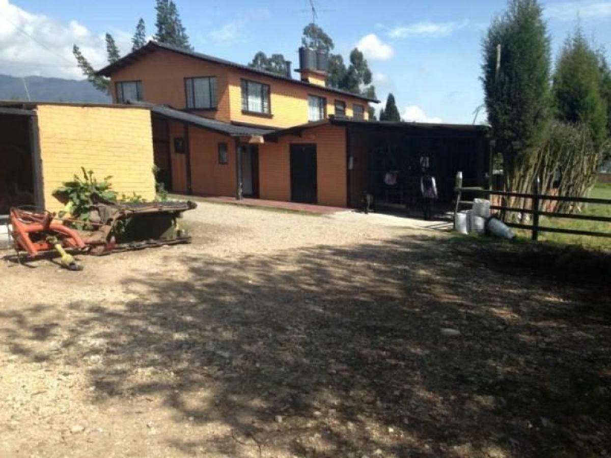 Studio in Cundinamarca, Colombia, Nr. 8511