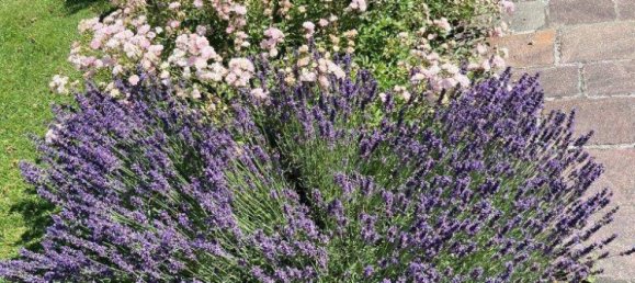 7-salle Bungalow à Wels, Austria No. 192608 17