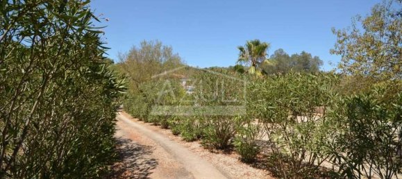 3 Schlafzimmer Villa in Loule, Portugal, Nr. 145552 19