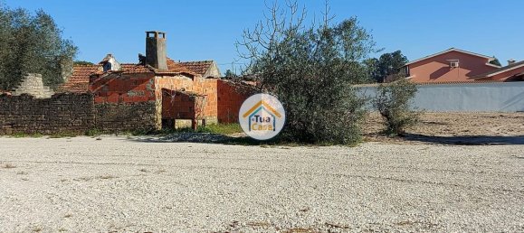 Grundstück in Cadima, Portugal 2399m², Nr. 74790 2