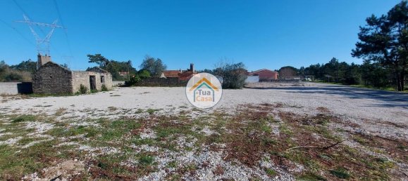 Grundstück in Cadima, Portugal 2399m², Nr. 74790 8