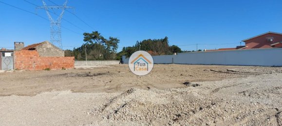 Grundstück in Cadima, Portugal 2399m², Nr. 74790 5