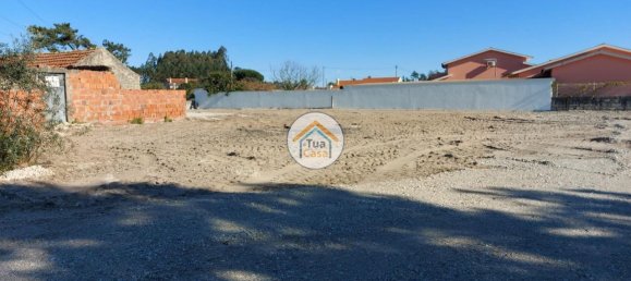 Grundstück in Cadima, Portugal 2399m², Nr. 74790 3