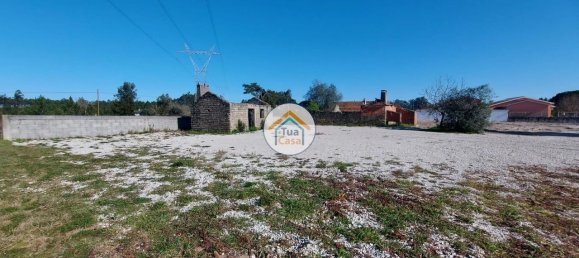 Grundstück in Cadima, Portugal 2399m², Nr. 74790 6