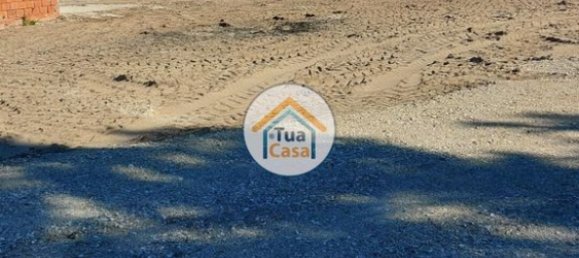 Grundstück in Cadima, Portugal 2399m², Nr. 74790 4