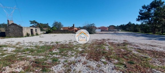 Grundstück in Cadima, Portugal 2399m², Nr. 74790 12