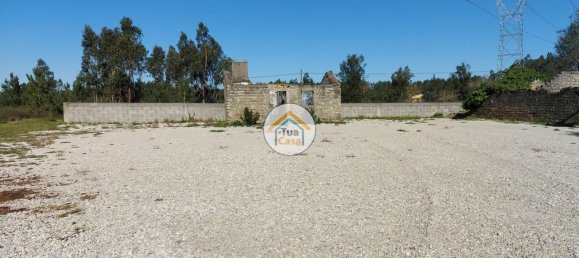 Grundstück in Cadima, Portugal 2399m², Nr. 74790 11