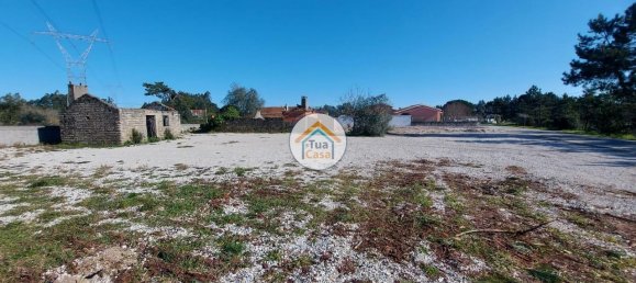 Grundstück in Cadima, Portugal 2399m², Nr. 74790 7