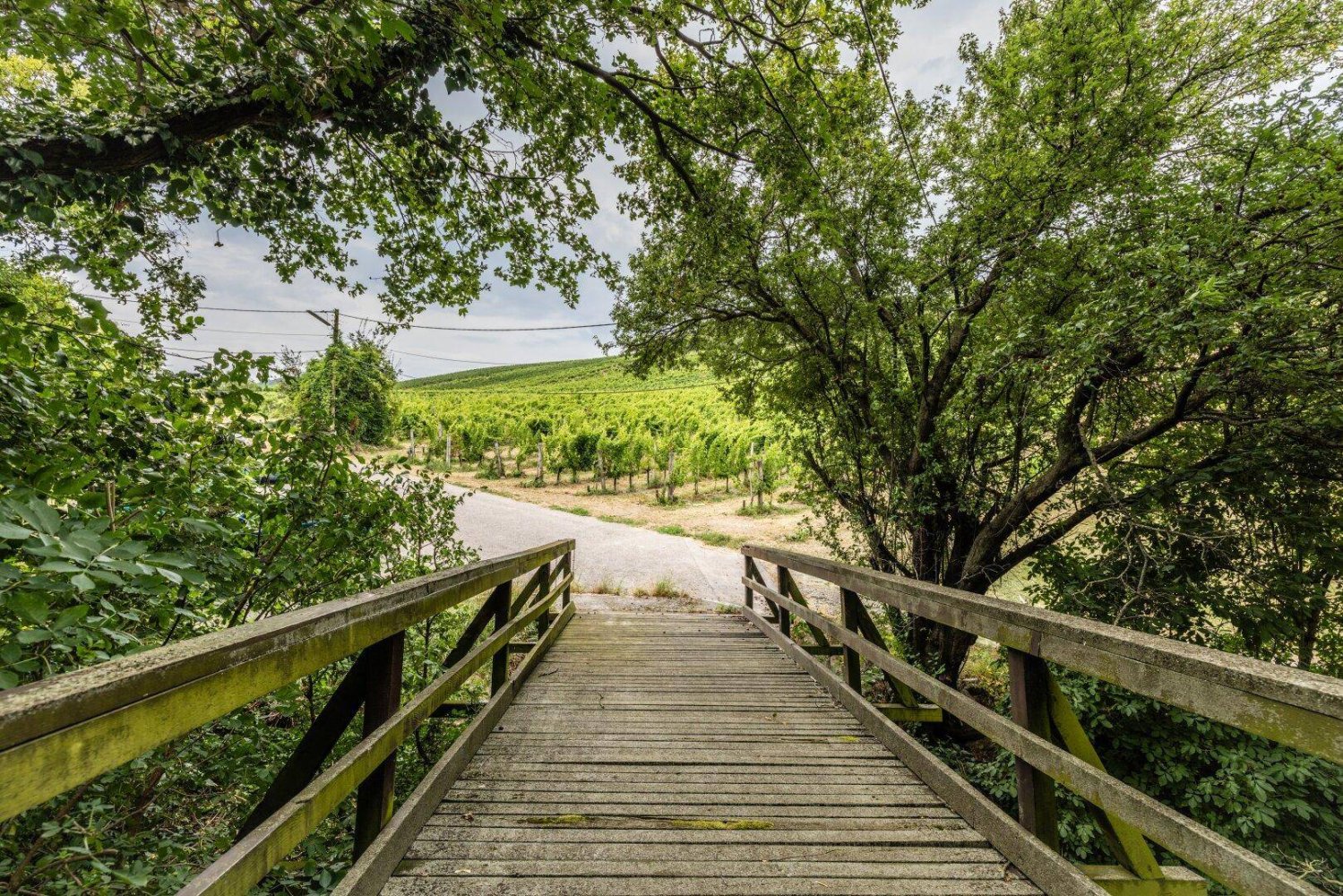  قطعة أرض في Dobling, Austria 746متر مربع رقم 163835