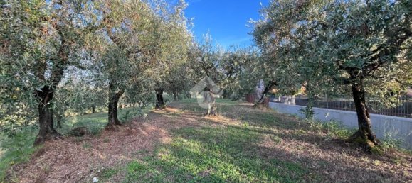  قطعة أرض في Pescia, Italy رقم 326790 7